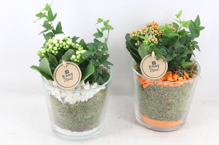 <h4>arr2 PL - Glas pot zwaar - oranje/wit</h4>