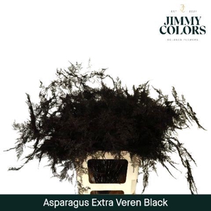 Aspa extra veren Black
