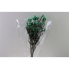 Dried Ozothamnus Mint Green Bunch Slv