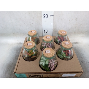 Arr.   Kamerplant Groen H%