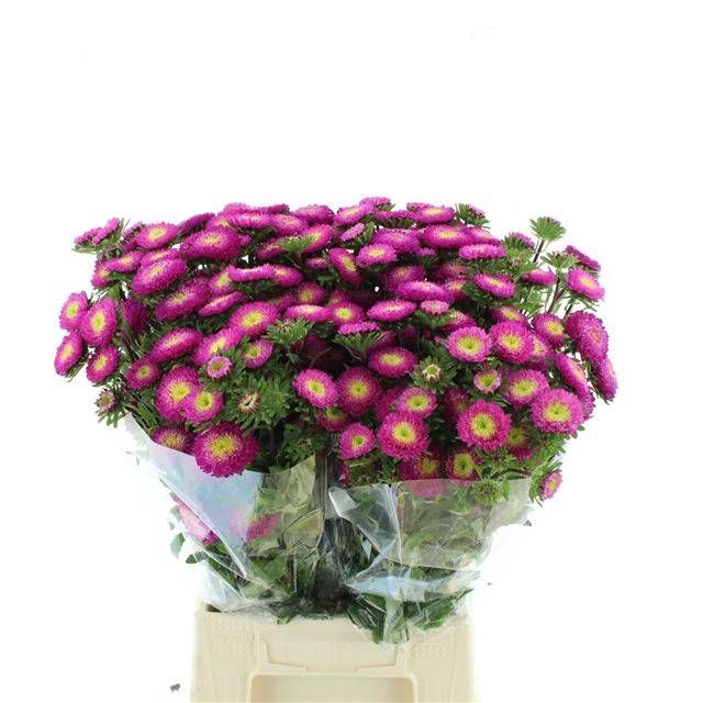 <h4>CALLIS MATS PINK</h4>