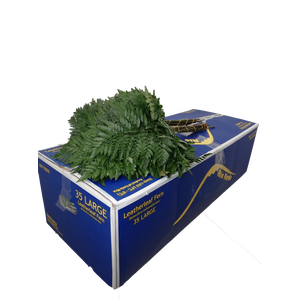 LEDERVAREN RIO VERDE EXTRA VACUUM