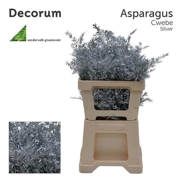 <h4>Asp cwebe 50cm Silver</h4>