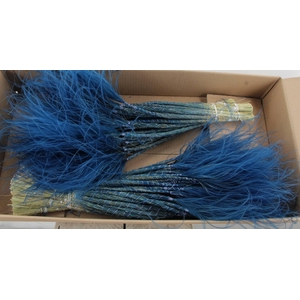 DF Stypha 60cm Bs Dark Blue