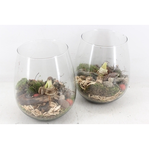 arr4 Amaryllis MB - Glas roma 285/5 red