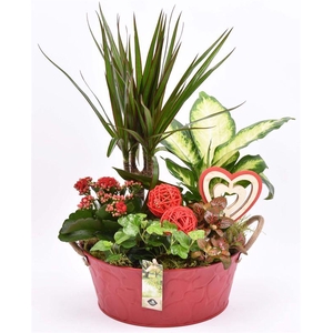 Zink schaal rood hart decor 25cm