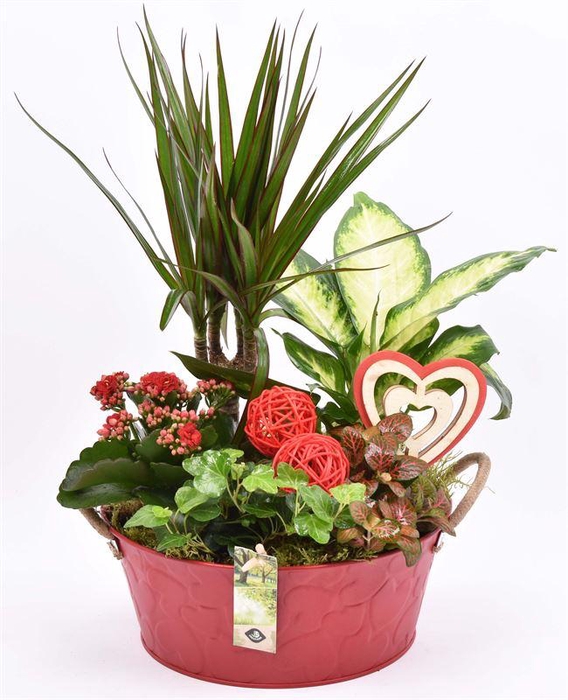 <h4>Zink schaal rood hart decor 25cm</h4>