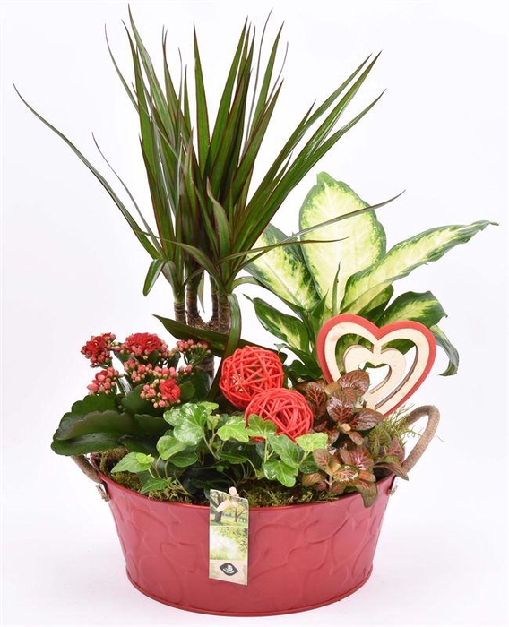 <h4>Zink schaal rood hart decor 25cm</h4>