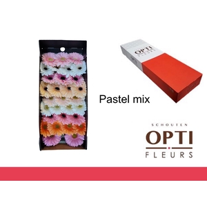 Germini Mix Pastel Doos