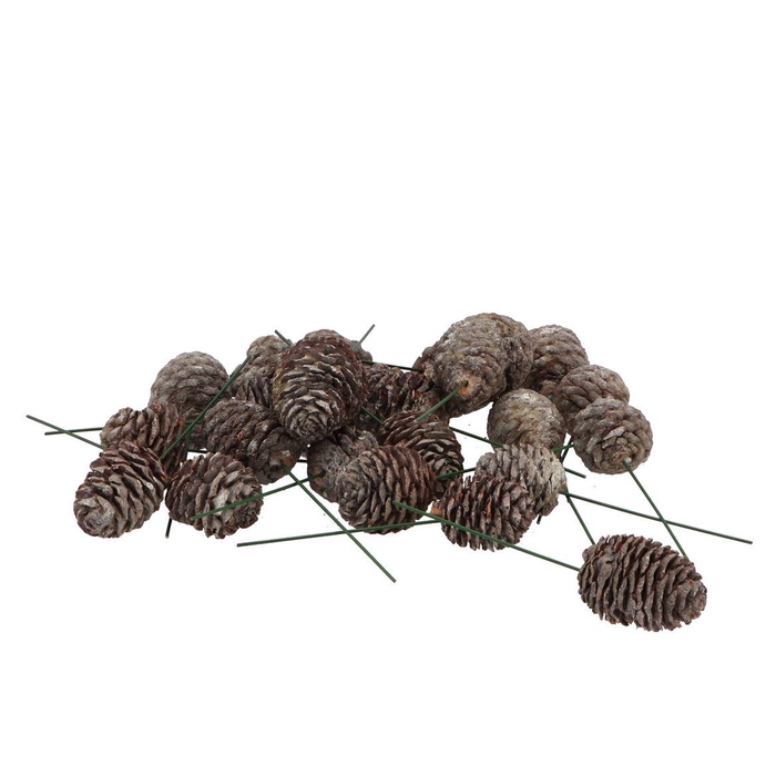 <h4>Pick Nature Sabulosum Stone Wh On Wire P/100</h4>