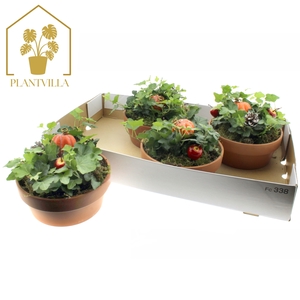 ARR TUINPLANTEN