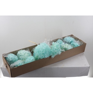 Hydr Preserved Indigo Premium