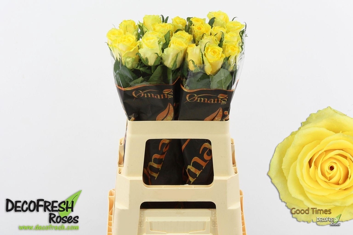 <h4>R GR Good Times</h4>