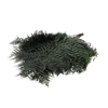 Bunch Helecho Bracken Pres Slv L60 10pcs