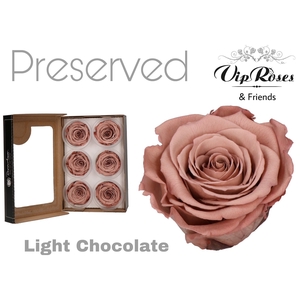 R Preserved Light Chocolate