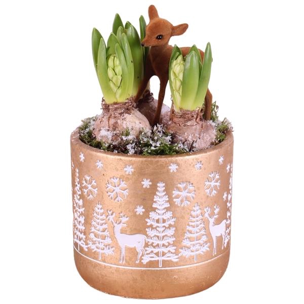 <h4>Christmas Arr. Hyacint Ceramic Pot Round Landscape Ø14cm 3PP</h4>