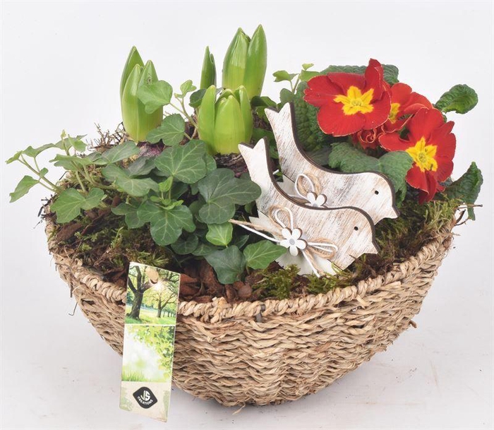 <h4>Touw schaal 20cm</h4>