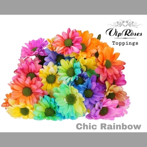 CHR T CHIC RAINBOW