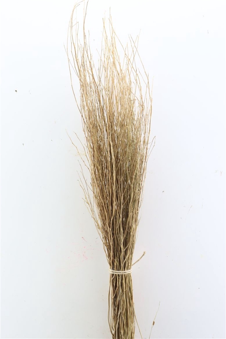 <h4>Dried Natural Bunch 100cm</h4>