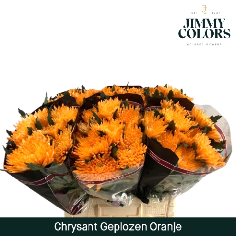 <h4>Chr G Topspin Klbh. Oranje</h4>