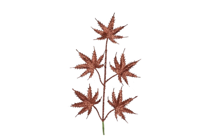 <h4>Pick Shine Maple Scottish Copper 44cm Per 12</h4>