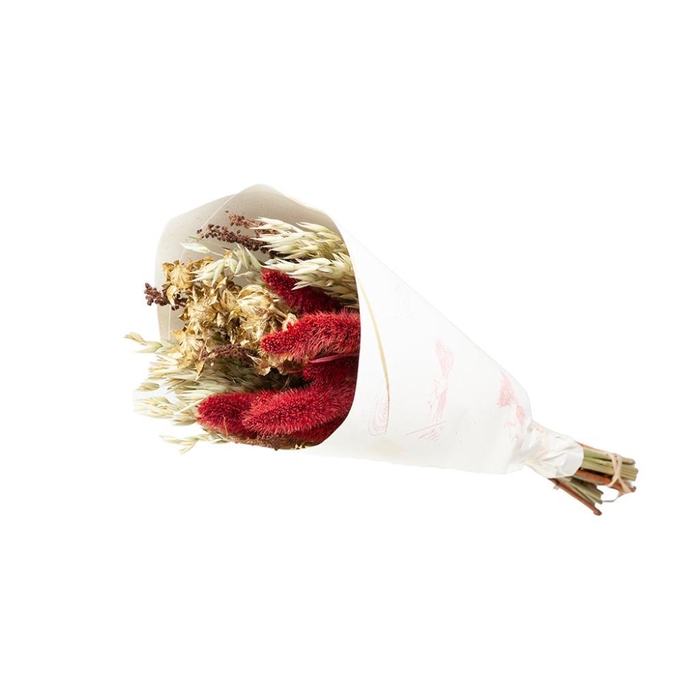 <h4>Bouquet Smart Joseph 50cm Mixed</h4>