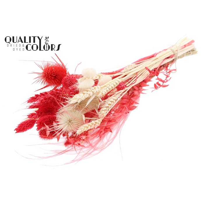 <h4>BQT Round Small Ruby</h4>