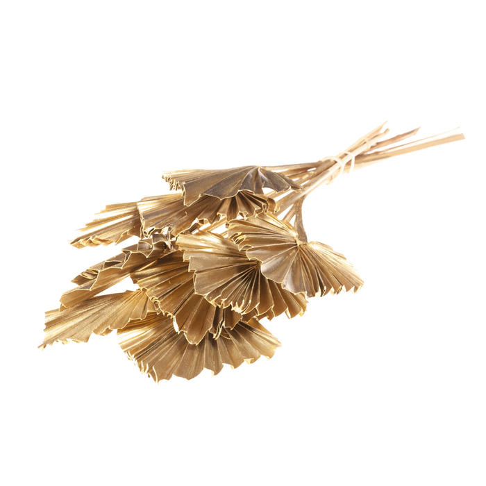 <h4>Palmspear 10pc Gold</h4>