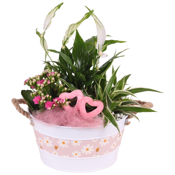 <h4>Mothersday Arr. Indoor Zinc Flower Pot Ø21cm 3PP</h4>