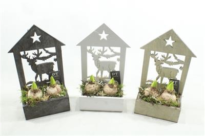 <h4>7751 HYAC HOUT HUIS</h4>