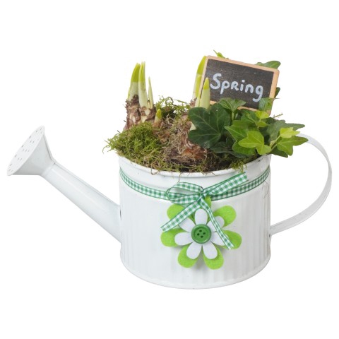 <h4>PTBM3042 Arrangementen Tuinplanten</h4>