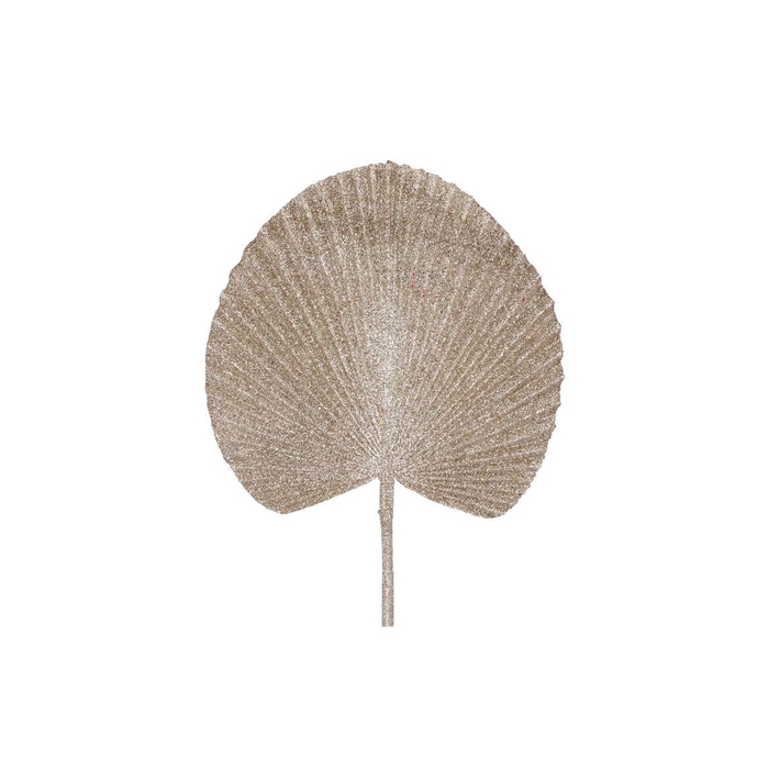 <h4>Pick Shine Fan Cozy Champagne 66cm</h4>