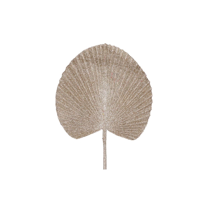 <h4>Pick Shine Fan Cozy Champagne 66cm Nm</h4>