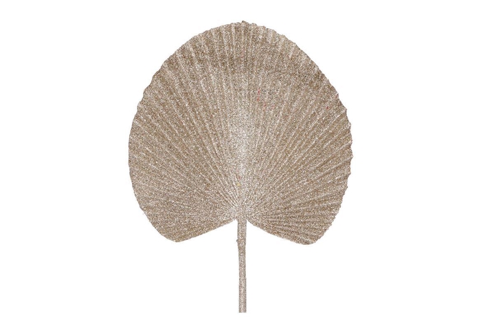 Pick Shine Fan Cozy Champagne 66cm