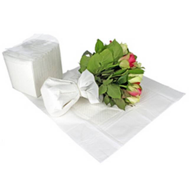 <h4>Aquasheet 50x50cm white</h4>