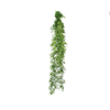 FOLHAGEM ASPARGO SMILAX