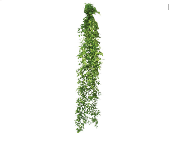 <h4>FOLHAGEM ASPARGO SMILAX</h4>