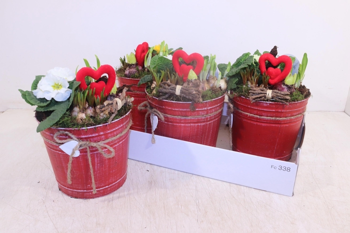 <h4>ARR PL IN SCHAAL</h4>