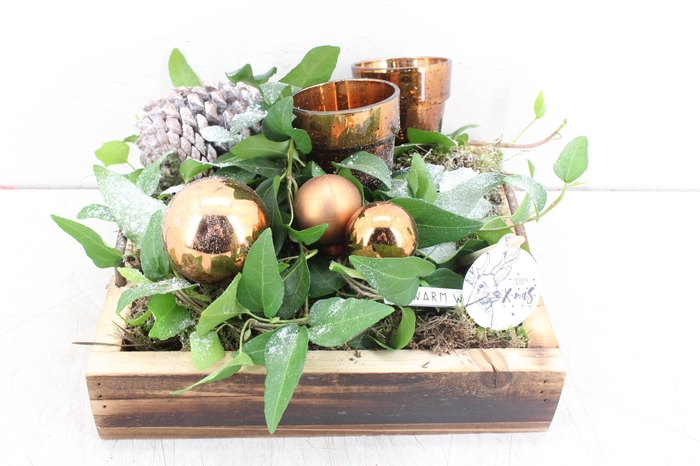 arr. PL Hedera - Hout tray 4kant -