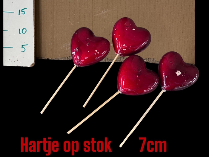 <h4>HARTJE OP STOK H%</h4>