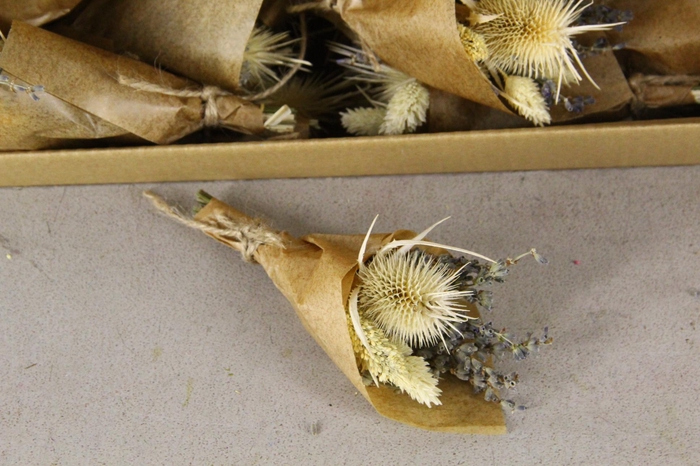 <h4>DF Bouquet 15cm A'dam bleached</h4>