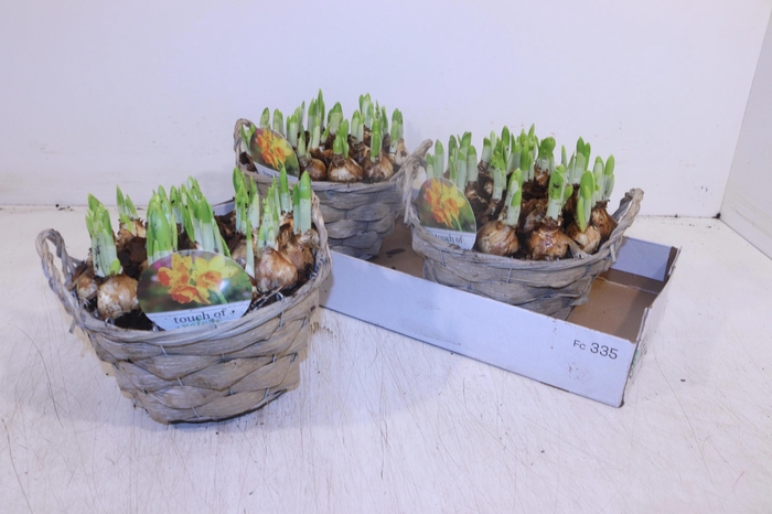 <h4>ARR N TETE A TETE</h4>