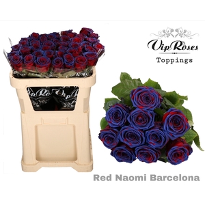 R Gr Red Naomi Barcelona