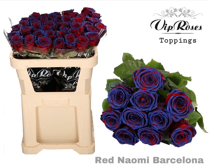 <h4>R GR RED NAOMI BARCELONA</h4>