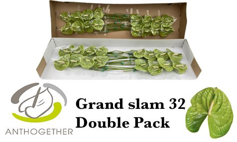 <h4>ANTH A GRAND SLAM 32 Double Pack</h4>