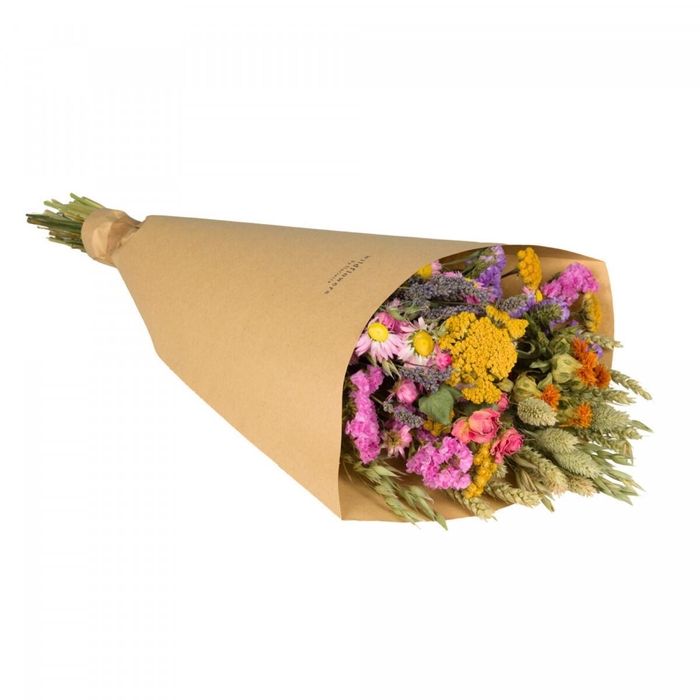 <h4>Droogbloem Boeket Field 60cm</h4>