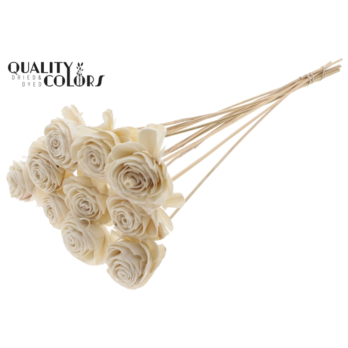 <h4>Shola Beauty Rose 6cm on stem Natural</h4>