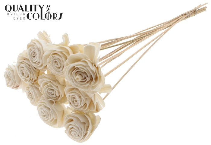Shola Beauty Rose 6cm on stem Wax White