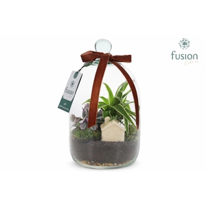 Green BottleNovella Small met arrangement