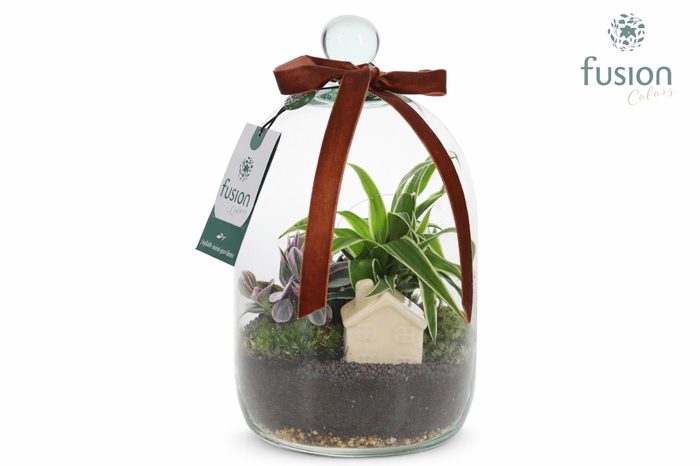<h4>Green BottleNovella Small met arrangement</h4>